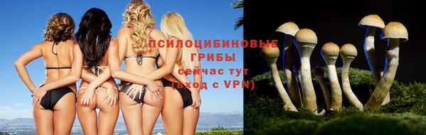 дурь Беслан
