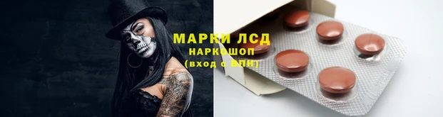 марки lsd Новозыбков