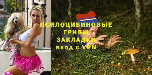 марки lsd Новозыбков