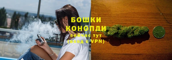 марки lsd Новозыбков