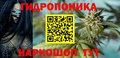 прущие грибы Балашиха