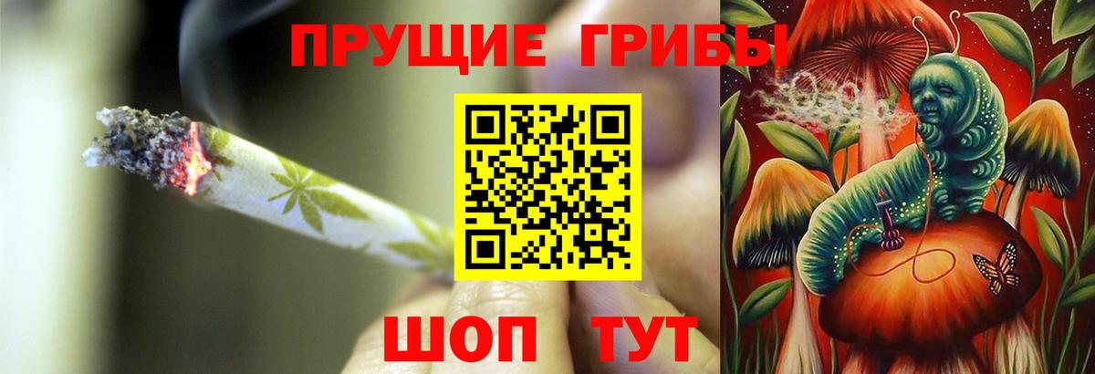 Галлюциногенные грибы прущие грибы  Богородицк 